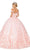 Dancing Queen - 1569 Off Shoulder Floral Applique Ballgown Quinceanera Dresses