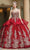 Dancing Queen - 1590 Spaghetti Strap Applique Ballgown Special Occasion Dress