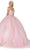 Dancing Queen - 1592 Floral Off Shoulder Ballgown Special Occasion Dress