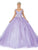 Dancing Queen - 1597 Beaded Floral Lace Applique Tulle Ballgown Special Occasion Dress