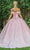 Dancing Queen - 1602 Off Shoulder Lace Ornate Gown Quinceanera Dresses