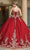 Dancing Queen - 1612 Jeweled Metallic Lace Gown Special Occasion Dress