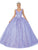 Dancing Queen - 1623 V Neck Floral Glittered Ballgown Quinceanera Dresses