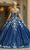 Dancing Queen - 1642 Dangling Beaded Pleated Gown Quinceanera Dresses