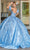 Dancing Queen 1644 - Embroidered Corset Quinceanera Ballgown Ball Gowns