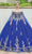 Dancing Queen 1645 - Gilded Applique Quinceanera Ballgown Ball Gowns XS / Royal Blue