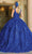 Dancing Queen - 1649 Embellished V Neck Fit and Flare Gown Quinceanera Dresses