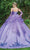 Dancing Queen - 1652 Shimmer Applique Ballgown with Bow Accent Quinceanera Dresses