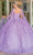 Dancing Queen 1664 - Floral Quinceanera Ballgown Ball Gowns