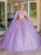 Dancing Queen 1664 - Floral Quinceanera Ballgown Special Occasion Dress