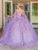 Dancing Queen 1664 - Floral Quinceanera Ballgown Special Occasion Dress