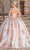 Dancing Queen 1665 - Bell Sleeve Ornate Quinceanera Ballgown Ball Gowns