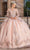 Dancing Queen 1667 - Long Sleeve Quinceanera Ballgown Long Dresses