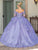 Dancing Queen 1667 - Long Sleeve Quinceanera Ballgown Special Occasion Dress