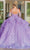 Dancing Queen 1671 - Bow Ornate Quinceanera Ballgown Ball Gowns