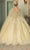 Dancing Queen 1672 - Sweetheart Quinceanera Ballgown Ball Gowns