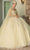 Dancing Queen 1672 - Sweetheart Quinceanera Ballgown Ball Gowns XS / Champagne
