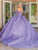 Dancing Queen 1675 - Sequin Quinceanera Ballgown Special Occasion Dress