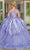 Dancing Queen 1679 - Off Shoulder Corset Quinceanera Ballgown Ball Gowns