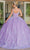 Dancing Queen 1685 - Glitter Sweetheart Quinceanera Ballgown Ball Gowns