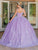 Dancing Queen 1685 - Glitter Sweetheart Quinceanera Ballgown Special Occasion Dress