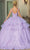 Dancing Queen 1686 - Embroidered Tiered Ballgown Ball Gowns