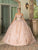 Dancing Queen 1687 - Draped Sleeve Floral Ballgown Ball Gowns