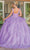 Dancing Queen 1690 - Floral Appliqued Tiered Ballgown Ball Gowns