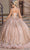 Dancing Queen 1692 - Cap Sleeve Glitter Quinceanera Ballgown Ball Gowns