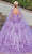 Dancing Queen 1695 - Applique Quinceanera Ballgown Ball Gowns