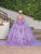 Dancing Queen 1695 - Applique Quinceanera Ballgown Special Occasion Dress