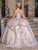 Dancing Queen 1696 - Off Shoulder Quinceanera Ballgown Special Occasion Dress