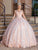 Dancing Queen 1705 - Strapless Embroidered Ballgown Quinceanera Dresses