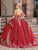 Dancing Queen 1711 - Beaded Embroidered Ballgown Special Occasion Dress