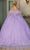 Dancing Queen 1713 - Flutter Sleeve Quinceanera Ballgown Ball Gowns
