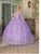 Dancing Queen 1713 - Flutter Sleeve Quinceanera Ballgown Special Occasion Dress