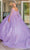 Dancing Queen 1714 - Sweetheart Floral Sequin Ballgown Quinceanera Dresses