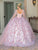 Dancing Queen 1715 - Sweetheart Floral Printed Ballgown Quinceanera Dresses