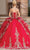 Dancing Queen 1720 - Tiered Ballgown with Cape Ball Gowns
