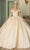 Dancing Queen 1726 - Applique Off Shoulder Quinceanera Ballgown Ball Gowns XS / Champagne