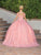 Dancing Queen 1727 - Floral Embroidered Sweetheart Ballgown Ball Gowns