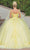 Dancing Queen 1738 - Floral Applique Quinceanera Ballgown Ball Gowns