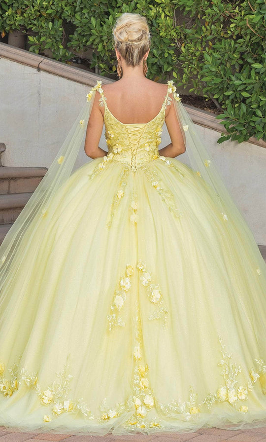 Dancing Queen 1738 - Floral Applique Quinceanera Ballgown