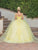 Dancing Queen 1738 - Floral Applique Quinceanera Ballgown Special Occasion Dress