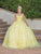 Dancing Queen 1738 - Floral Applique Quinceanera Ballgown Special Occasion Dress