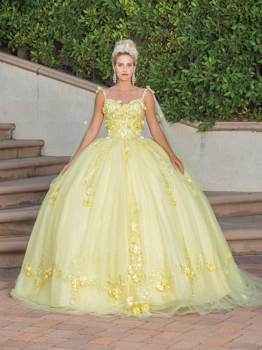 Dancing Queen 1738 - Floral Applique Quinceanera Ballgown