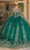 Dancing Queen 1743 - Glitter Print Quinceanera Ballgown Special Occasion Dress