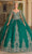 Dancing Queen 1743 - Glitter Print Quinceanera Ballgown Special Occasion Dress XS / Hunter Green/Gold