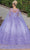 Dancing Queen 1746 - Butterfly Ornate Quinceanera Ballgown Ball Gowns