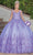 Dancing Queen 1746 - Butterfly Ornate Quinceanera Ballgown Ball Gowns XS / Lilac